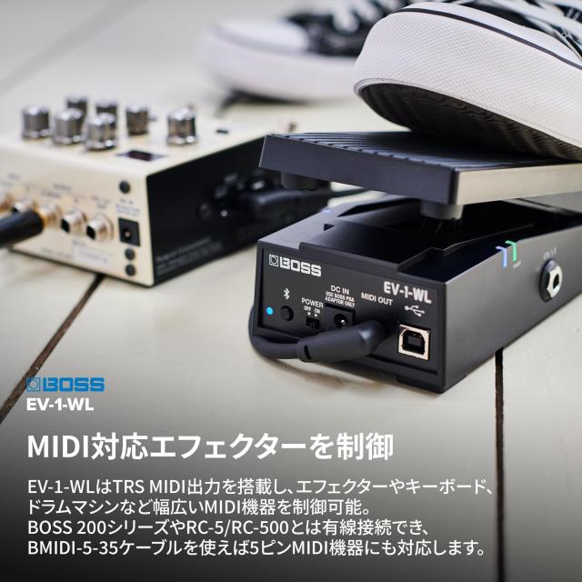 BOSS/EV-1-WL_6