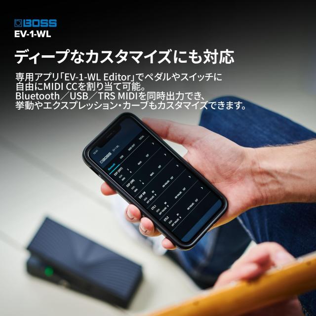 BOSS/EV-1-WL_7