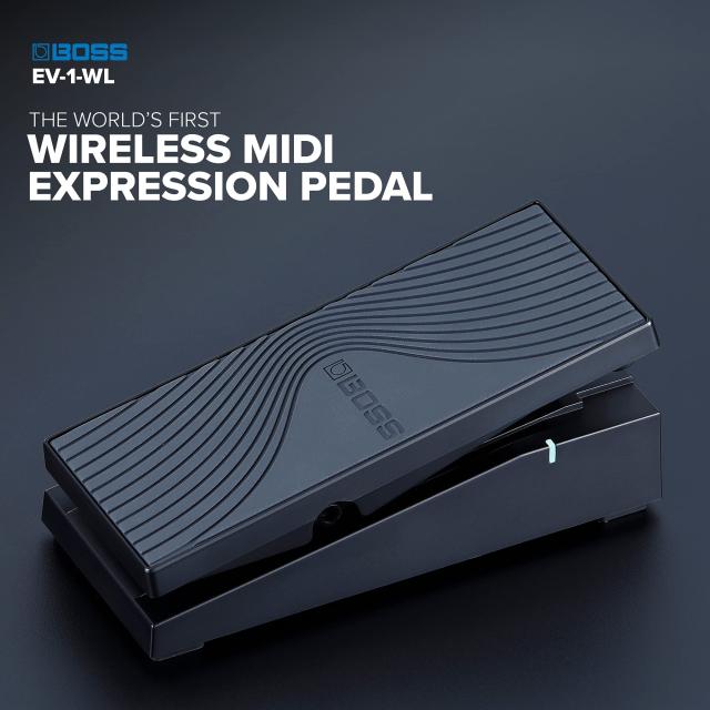 BOSS/EV-1-WL_8
