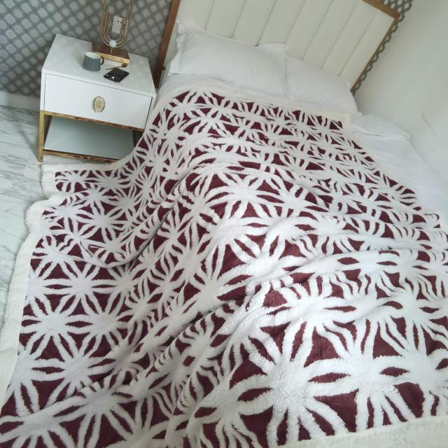 sledar(スレダー) 毛布 掛け毛布 クイーン 発熱二枚合わせ パイル シープ調 ふわふわ 丸洗いOK 抗菌防臭 防ダニ加工 北欧風 プレゼント