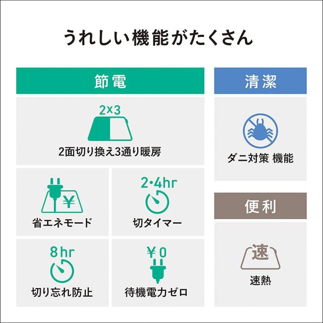 パナソニック ホットカーペット 電気カーペット トリプル断熱構造 省エネ タイマー機能 ダニ対策 2面切り替え 着せかえカバー付 3畳 DC-3_7