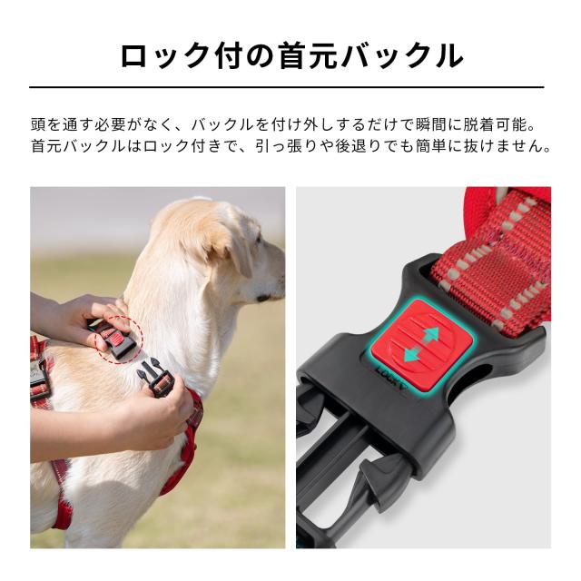 PoyPetプルドッグハーネスなし、[首のクイックリリース]チョーク