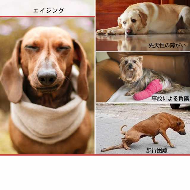 犬用車椅子 犬の歩行器 犬用2輪歩行器 後肢 リハビリ 犬用カート補助輪 軽量 サイズ調整可能 車いす チワワ ダックス コーギー 老犬介護 