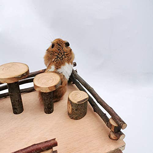 Wooden Teether 小動物おもちゃ 天然木製 ハムスター あそび道具 小型ペットおもちゃ モルモット ハリネズミ リス 遊具 ストレス解消 運の通販は