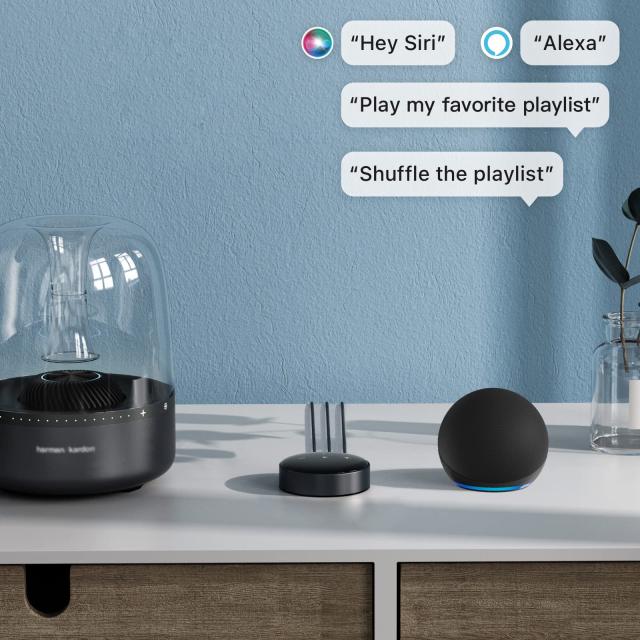 直輸入品】WiiM Mini AirPlay 2レシーバーアダプター、WiFi