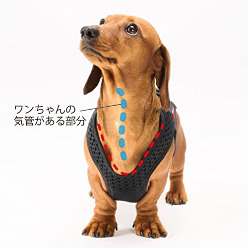 アニフル (anifull) わんコル With S [犬用ガードル] 黒いこと