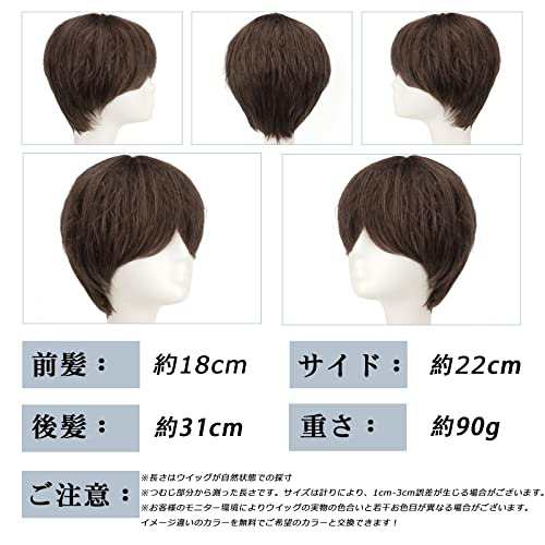 Hawkko ウィッグ メンズ ショート かつら wig カツラ 男装 男性用 ういっぐ 男装ウィッグ フルウィッグ 短髪 イケメン ハンサム 自然  耐の通販はau PAY マーケット - Litlulu Meena | au PAY マーケット－通販サイト