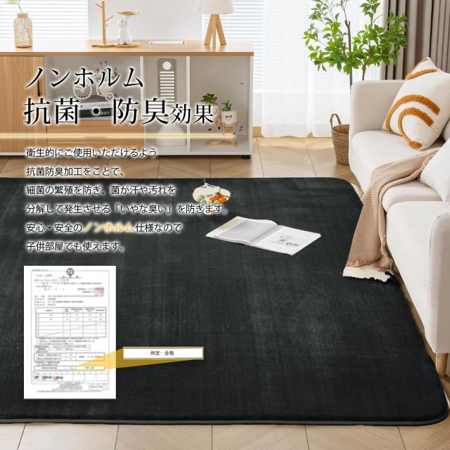 Keusnix カーペット ラグ 低反発 極厚25mm ラグマット 滑り止め付 Keusnix カーペット ラグ 低反発 極厚25mm 滑り止め付 厚手 ラグマット