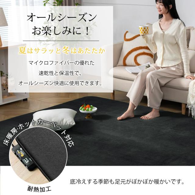 Keusnix カーペット ラグ 低反発 極厚25mm ラグマット 滑り止め付 Keusnix カーペット ラグ 低反発 極厚25mm 滑り止め付 厚手 ラグマット