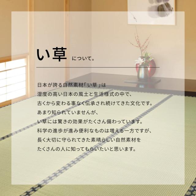 萩原 フリーカット上敷き い草カーペット 撥水 裏貼あり 縁補修テープ付き 本間8畳 ナチュラル_6