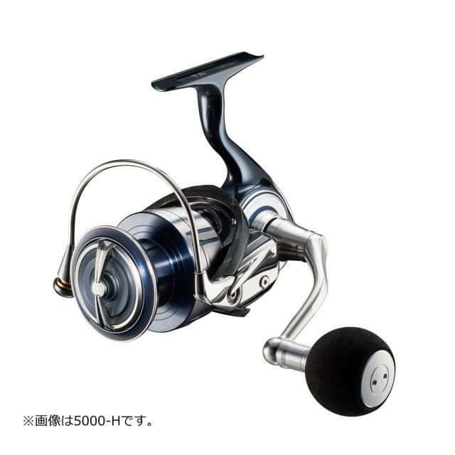 ダイワ(DAIWA) スピニングリール セルテート SW 6000-H_1