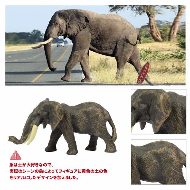 TOYMANY ミニ動物フィギュア 14PCSミニ野生動物フィギュアセット リアルな動物模型 動物園主題 ミニモデル 人気動物 おもちゃ 玩具  誕生の通販はau PAY マーケット - みんなのSHOP | au PAY マーケット－通販サイト