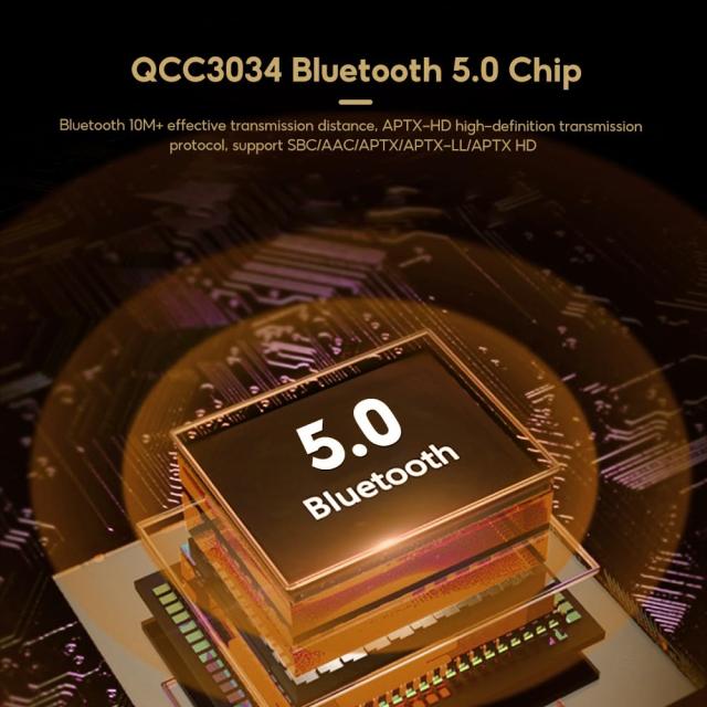 AIYIMA T9 Bluetooth 5.0 100W*2チューブアンプ 2.0チャンネル 真空管