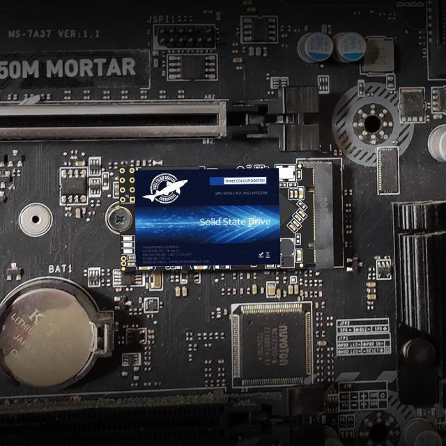M.2 2242 ソリッドステートドライブ 250GB Ngff Dogfish 内蔵ハードドライブ Sata3 Sata？ 42* 22MM 高速データ伝送ハードドライブM2 SSD_5