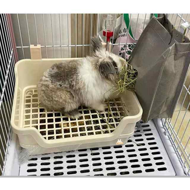 Gifty うさぎ トイレ 大きい 四角 固定式 小動物 トイレタリー