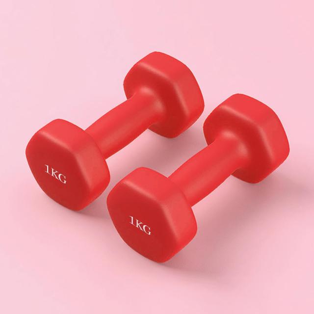 ダンベル【2個セット1kg 2kg 3kg 4kg 5kg 6kg 8kg10kg】【 選べる8色 