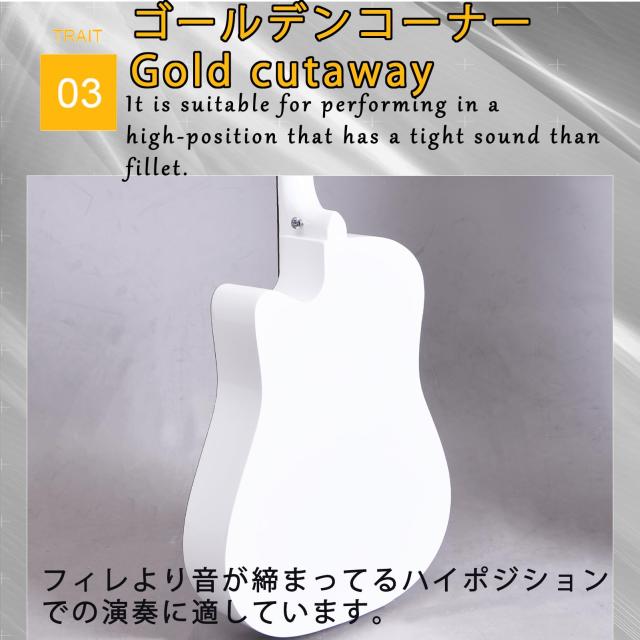 Aryari アコギ 白 アコースティックギター 初心者セット 38インチ 入門