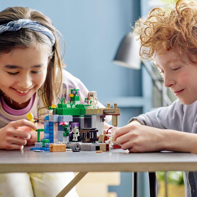 新品未開封　マインクラフト　レゴ　スケルトンの洞窟 クリスマスプレゼント 男の子 レゴ(LEGO) マインクラフト スケルトンの洞窟 おもちゃ 玩具