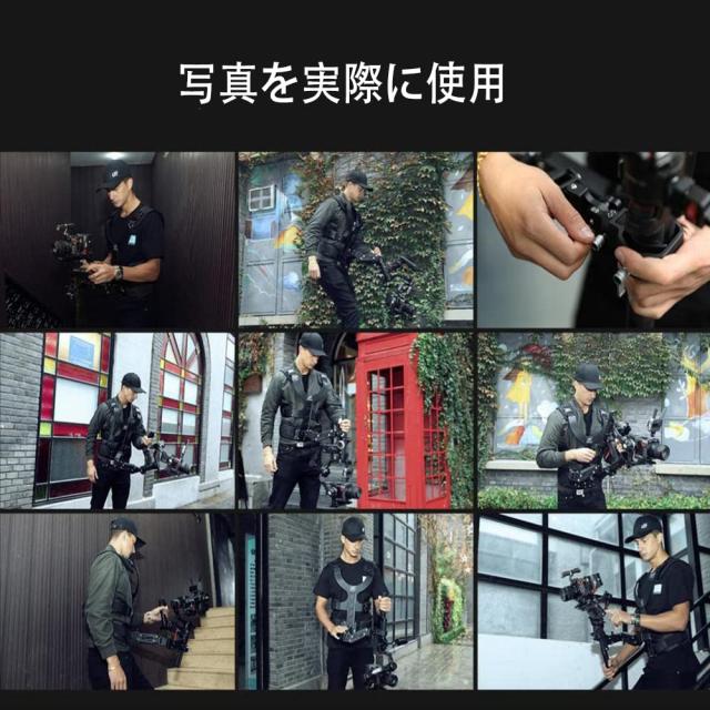 DF DIGITALFOTO 手持ちジンバルサポートシステム Thanos-SEサポート