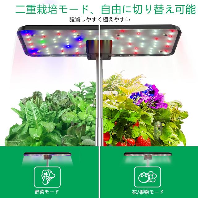 LED 自動水循環システムとタイミング    水耕栽培キット 自動水循環システム搭載 水耕栽培キット Plantui 6 スターター