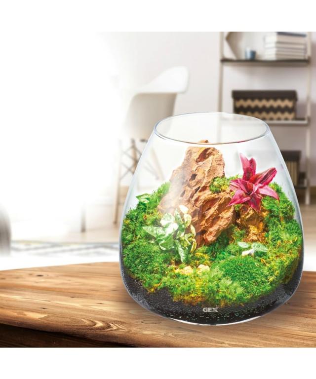 ジェックス GEX AQUARIUM グラスアクア ティアー-N アクアリウム