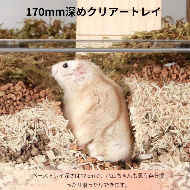 BUCATSTATE ハムスター 650 スターライトケージ 全面クリア 全透明 大型サイズ 飼育ケージ 透明 深めトレイ 片手スイッチ 2つ扉 広い 一_2