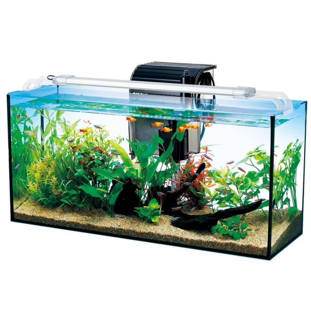 Tetra テトラ オールグラスアクアリウム600 熱帯魚セット 水槽 