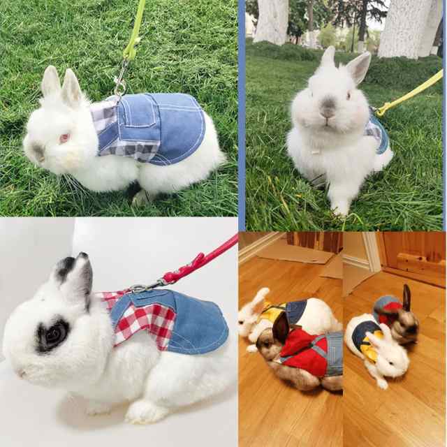 Hitasi ウサギ 子猫 ハーネス リード セット 可愛い うさぎ服