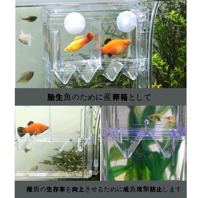 めだか飼育係　様　まとめご購入分　箱② Yurika 魚 繁殖隔離ボックス 2段式2箇所 産卵ケース 透明 エビメダカ