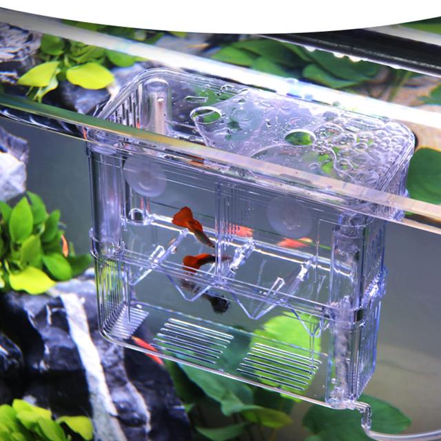 Yurika 魚 繁殖隔離ボックス 2段式2箇所 産卵ケース 透明 エビメダカ