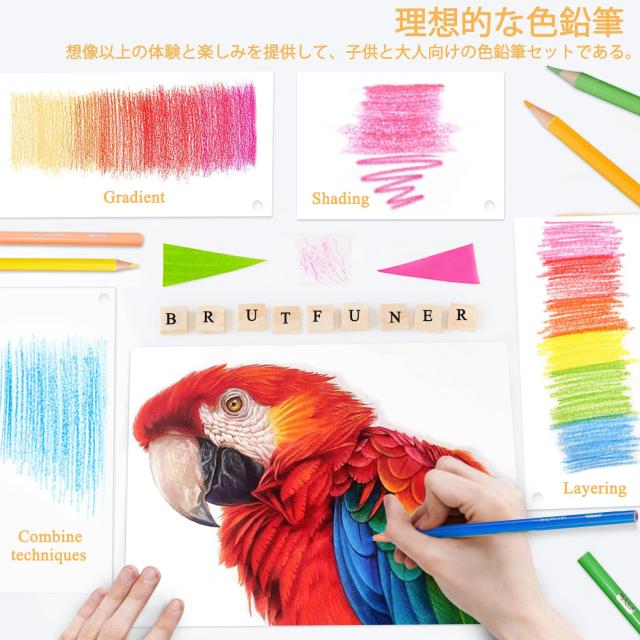 色鉛筆 油性 80色 大人の塗り絵 色鉛筆セット 初心者とプロ 油性色鉛筆