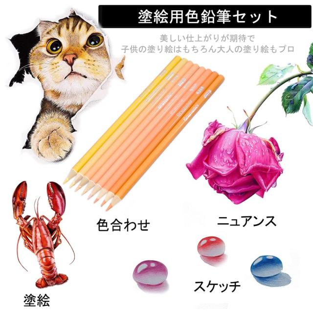 色鉛筆 油性 80色 大人の塗り絵 色鉛筆セット 初心者とプロ 油性色鉛筆