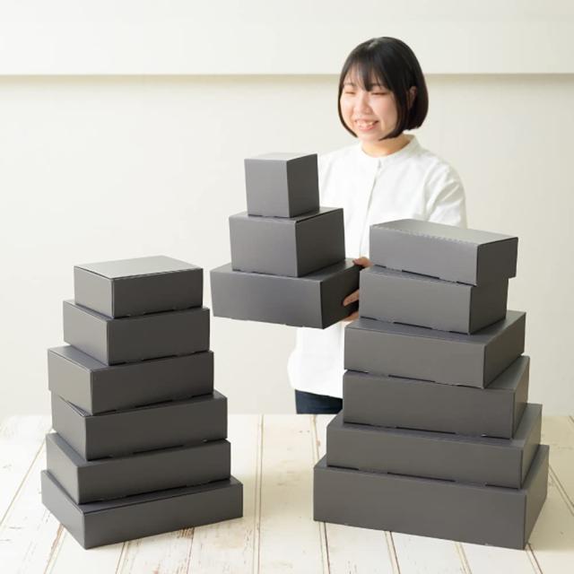 スマートボックス ダークグレー 31.5cm 10枚 31.5×23.5×9cm スマートボックス ダークグレー 31.5cm 10枚 31.5×23.5×9cm