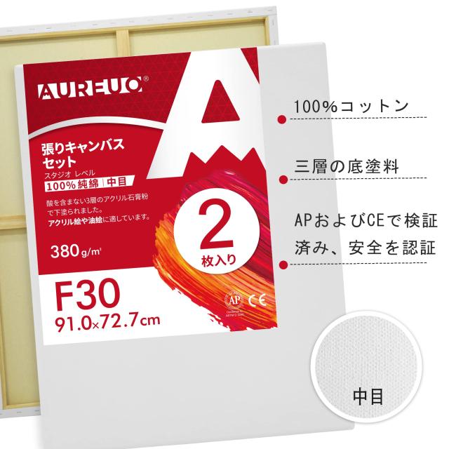 AUREUO 張りキャンバス セット F30 (91.0cmX72.7cm) 中目 100％コットン 2枚 初心者 絵画用具 芸術絵創作 現代油絵 美術装飾 水彩画・油_1