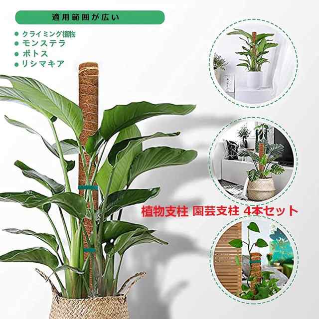 lanzoub 植物支柱 園芸支柱 4本セット 観葉植物モンステラ 支柱 園芸支柱パーツ 観葉植物 ココナッツ支柱 ガーデニング用支柱  植物サポーの通販はau PAY マーケット - Ｅ４Ｌｉｆｅ | au PAY マーケット－通販サイト