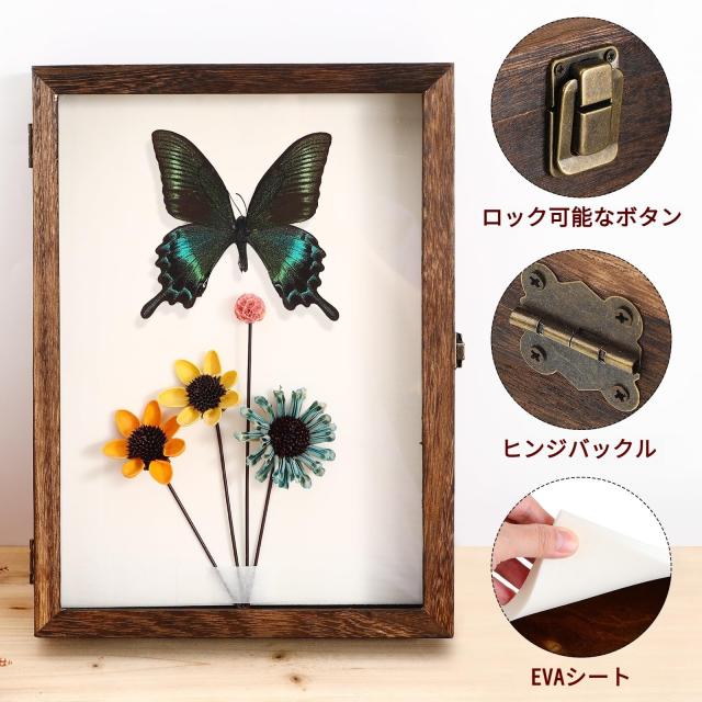 Lurrose 標本ケース 標本箱 木製 ディスプレイボックス 標本表示