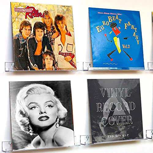 Amazon｜透明 レコードラック アクリル製 レコード壁掛け棚 LP