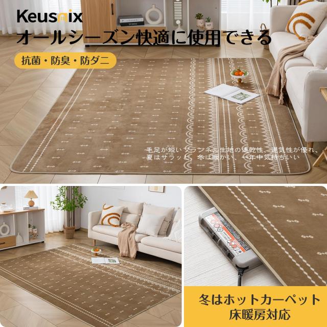 Keusnix カーペット ラグ ラグマット 滑り止め付 洗える 200*300cm(約4.5畳) オールシーズン快適に使用 床暖房 ホットカー Keusnix ラグ 綿 洗える 滑り止め付き 人気商品Keusnix ラグ