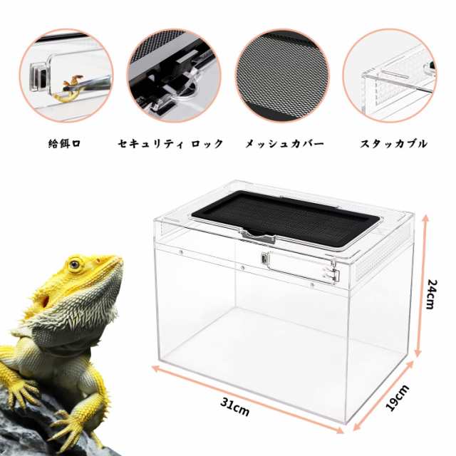 Reptile Growth 爬虫類 ケージ 透明 爬虫類ケージ 飼育容器 小動物用 カメ亀 タンク 両生類用飼育ケース 飼育ボックス  31*19*24cm, カメの通販はau PAY マーケット - Litlulu Meena | au PAY マーケット－通販サイト