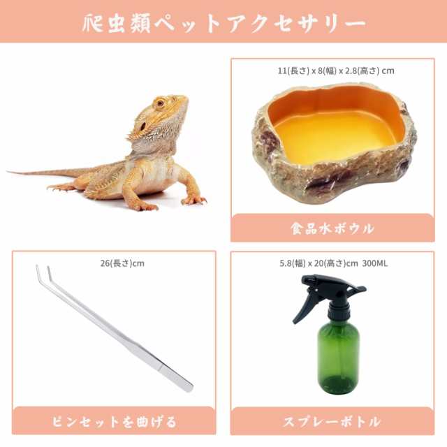 Reptile Growth 爬虫類 ケージ 透明 爬虫類ケージ 飼育容器 小動物用 カメ亀 タンク 両生類用飼育ケース 飼育ボックス  31*19*24cm, カメの通販はau PAY マーケット - Litlulu Meena | au PAY マーケット－通販サイト