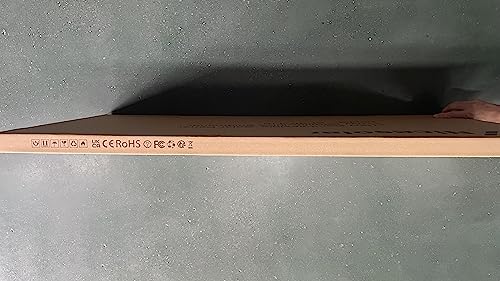 Nicesolar 100W ソーラーパネル 12V ソーラー充電器 単結晶 IP68
