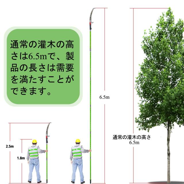 6.5M 高枝切りノコギリ 6段階 自由伸縮 手動剪定ノコギリ 替刃付き 耐久性合金鋼 高枝のこぎり 加長形 園芸用高枝鋸 (C)の通販は