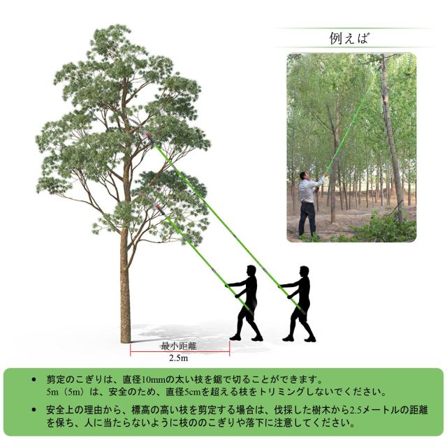 6.5M 高枝切りノコギリ 6段階 自由伸縮 手動剪定ノコギリ 替刃付き 耐久性合金鋼 高枝のこぎり 加長形 園芸用高枝鋸 (C)の通販は