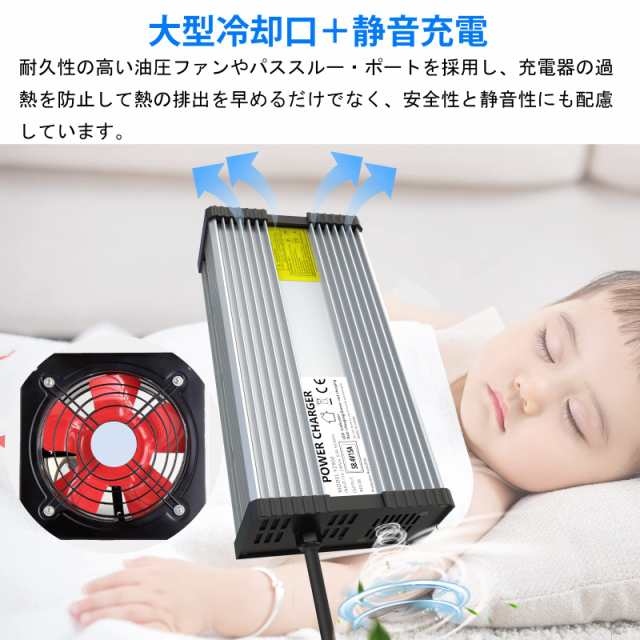 29.2V 20A LiFePO4 電池の充電器、Ruipoo 29.2V LiFePO4バッテリーの充電器作り付けの速い充満および 100% のスマートな保護 28.4V~29.2Vの通販は