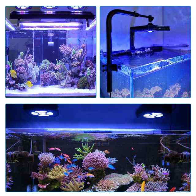 Hipargero水槽ライト-100watt LEDアクアリウムライト海水魚ライトサンゴ礁飼育ライトタンクライトSPS/LPSサンゴライトの海洋塩水アクアリの通販はau  PAY マーケット - libra shop | au PAY マーケット－通販サイト