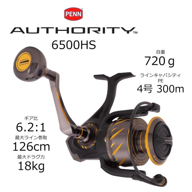 PENN (ペン) AUTHORITY 6500HS オーソリティ 6500番 ハイギヤ