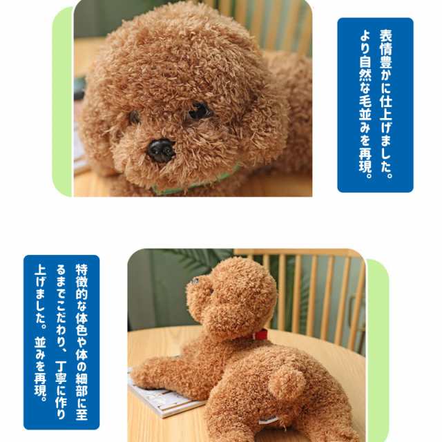 Amazon.co.jp: ぬいぐるみ プードル 犬 リアル 本物そっくり