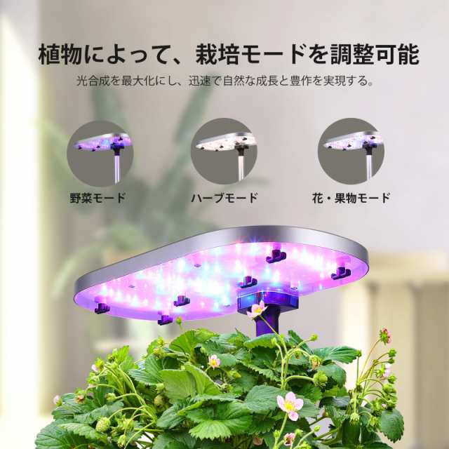 JustSmart 水耕栽培キット 室内 水耕栽培 おしゃれ 家庭菜園 JustSmart 水耕栽培キット 室内 水耕栽培 おしゃれ 家庭菜園