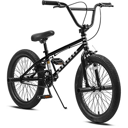 AVASTA Bacchus BMX自転車 20インチ フリースタイルBMXバイク スチール