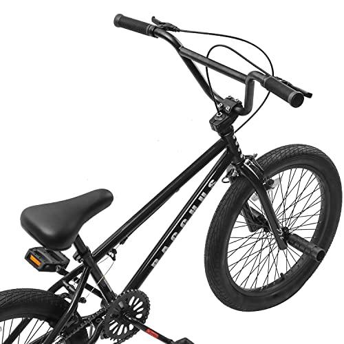 AVASTA Bacchus BMX自転車 20インチ フリースタイルBMXバイク スチール